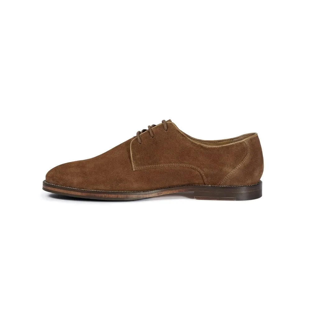 Derbies William - Camel