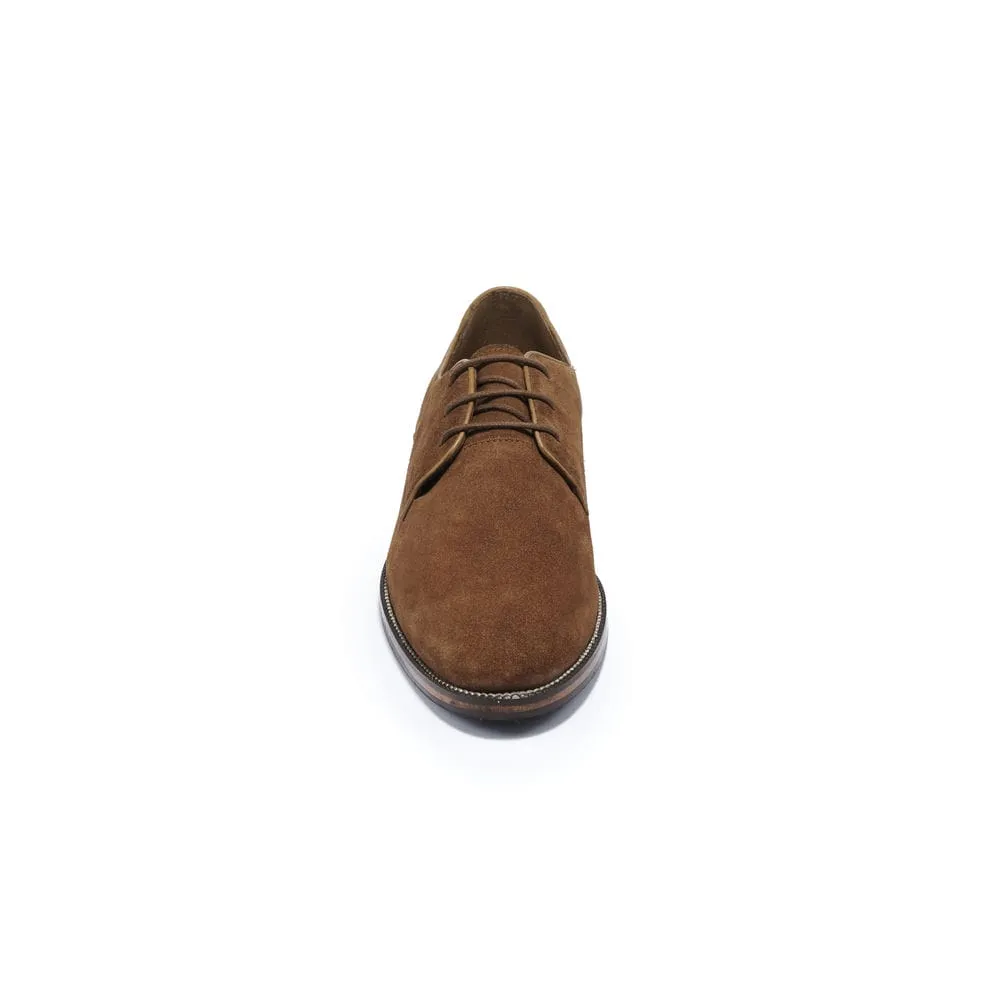 Derbies William - Camel