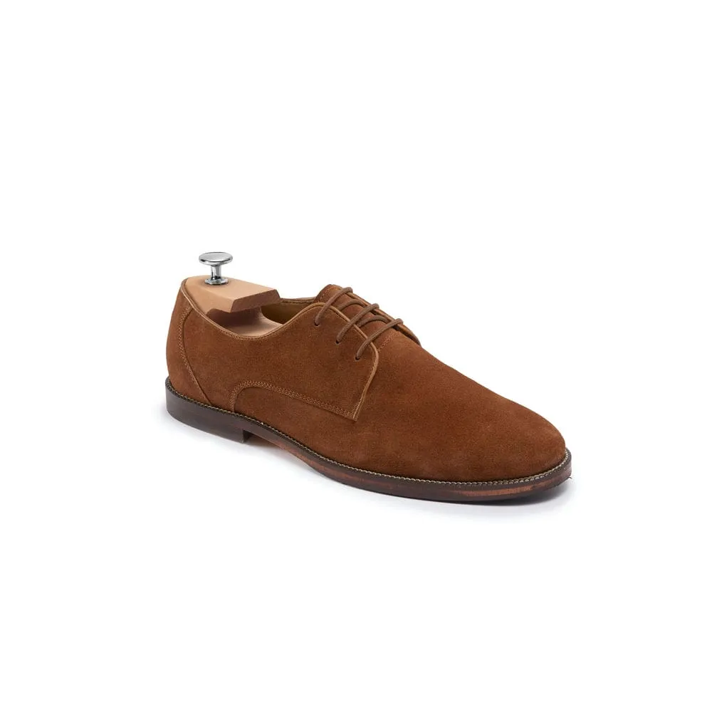 Derbies William - Camel