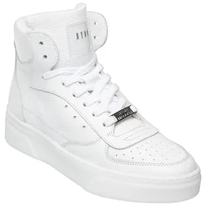 Steve Madden Ladies Danoi Trainers